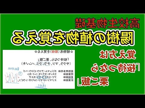 陽樹 代表例